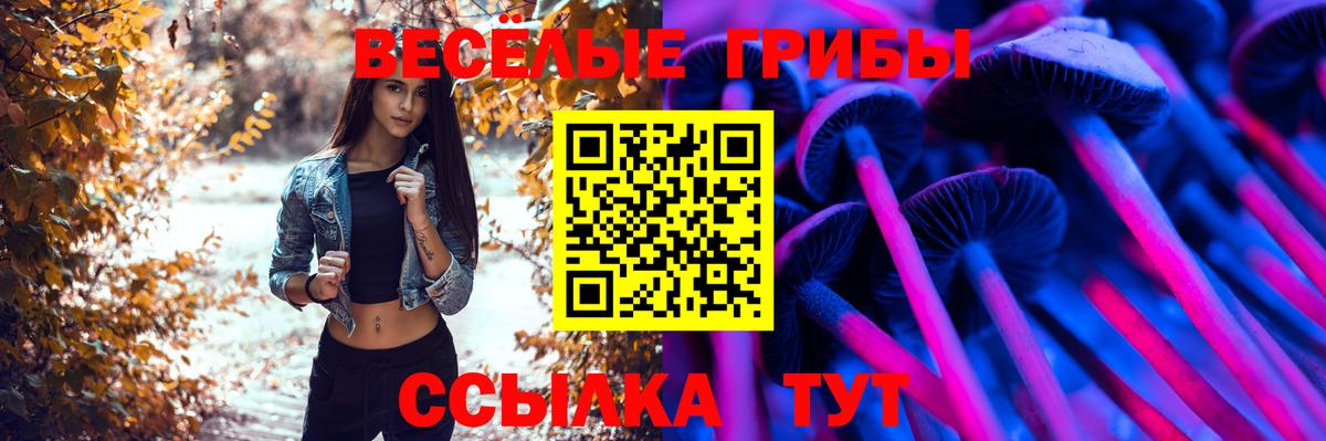 Галлюциногенные грибы GOLDEN TEACHER  Вход с VPN  Алексин  Галлюциногенные грибы MAGIC MUSHROOMS 
